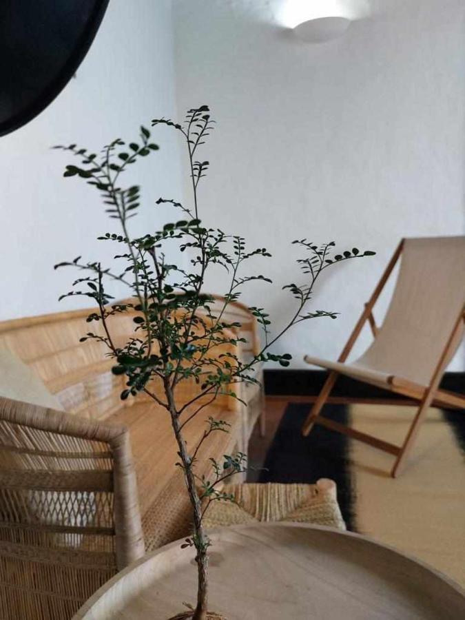 Casa Yooj Designers House In Teguise Apartment Teguise  Luaran gambar